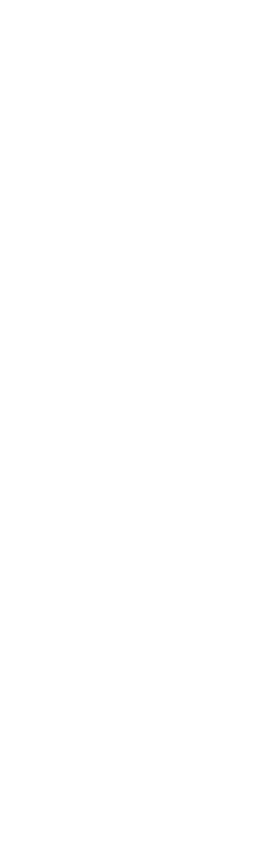 timeline divider sized